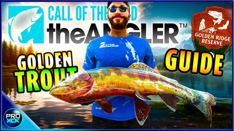 Golden Trout HOTSPOT GUIDE How To Catch A Diamond Golden Trout