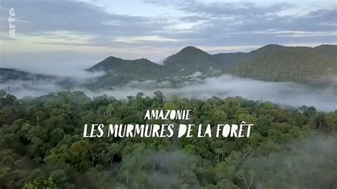 Amazonie les murmures de la forêt 2023