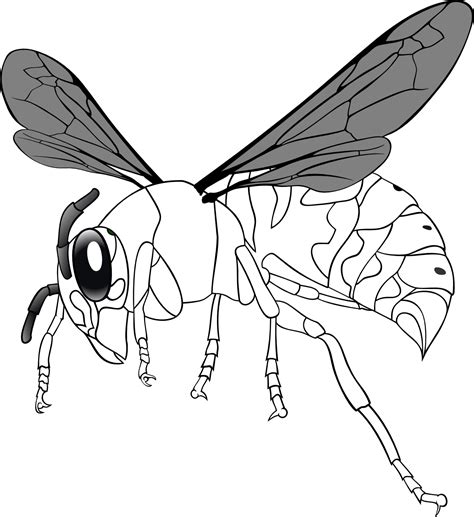 Bee Line Art Clipart Best