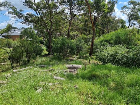 Kellyville Stormwater Management Planting And Bush Regeneration