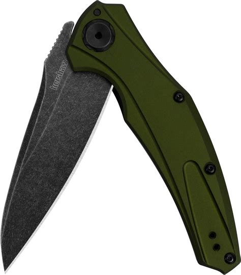 Amazon.com: Kershaw Bareknuckle Pocket Knife, Olive Handle, Sandvik ...