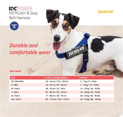 Julius-K9 IDC® Color & Gray® Belt Harness - Julius-K9 LLC