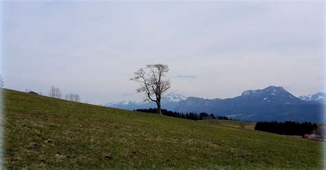 Blick Zu Drachenwand Und Schafberg In Au Erhalb Salzburgs Sch Ne