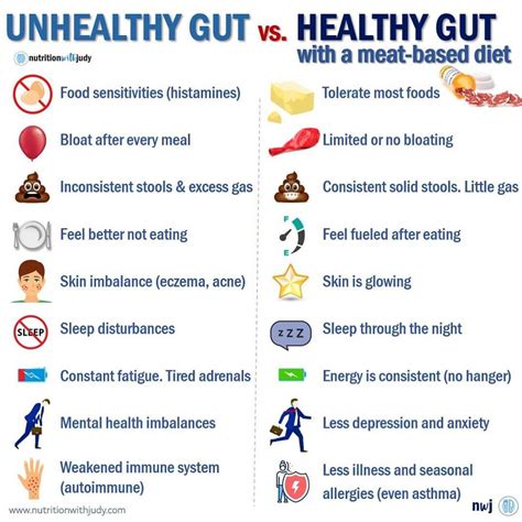 Microblog Unhealthy Gut Vs Healthy Gut With A Meat Based Diet