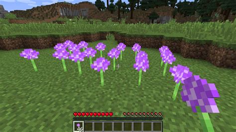 What are Alliums - Minecraft Flowers - YouTube