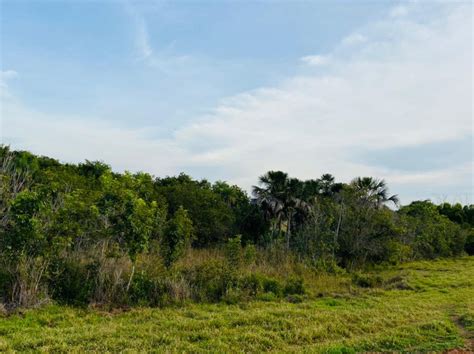 Miss O Do Fip Paisagens Rurais Faz Visita De Campo Em Propriedades De