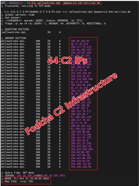 新版ddos僵尸网络fodcha攻击流量超过1tbps Goupsec