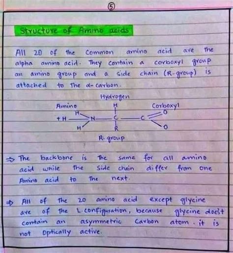 Amino Acids Definition Properties Structure Classification Functions