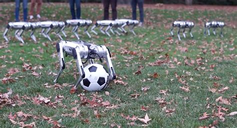 Mits Mini Cheetah Robot Channels Black Mirrors ‘metalhead Dog Drone