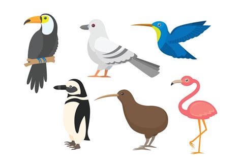 Bird clipart set 360304 Vector Art at Vecteezy