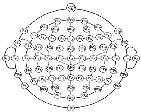 10 20 Electrode Position System Download Scientific Diagram