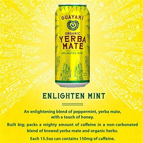 10 Best Yerba Mate Flavors Ranked (2025)