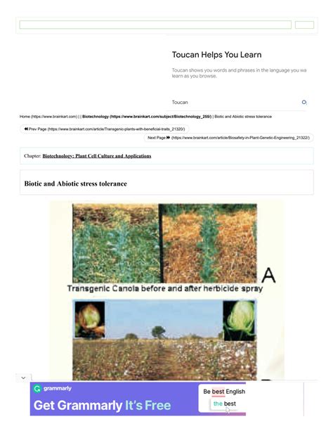 SOLUTION: Biotic and abiotic stress tolerance - Studypool 