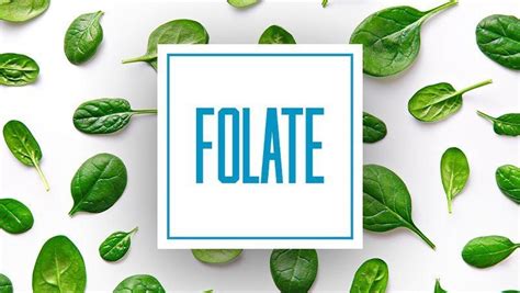 Folate Vitamin B9 Uses Dosage Side Effects Vinmec