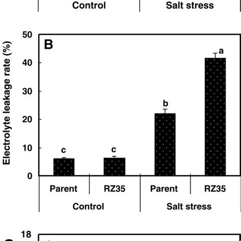 Effects Of Salt Stress On Survival Rate Mda Malondialdehyde Content