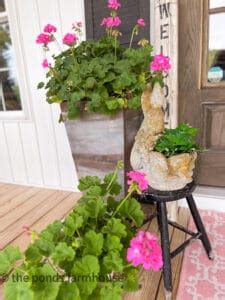 Best Tips To Keep Geraniums Blooming Spring To Fall