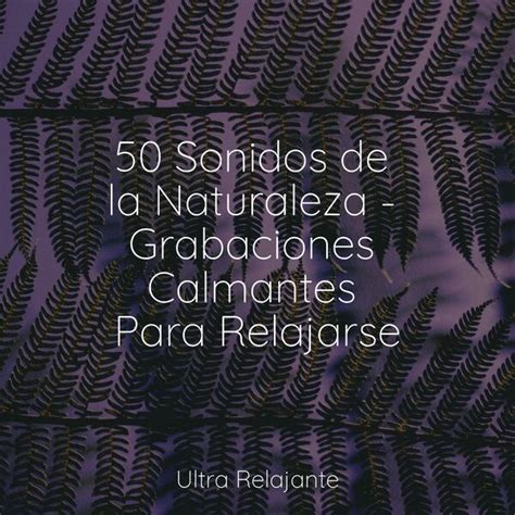 50 Sonidos De La Naturaleza Grabaciones Calmantes Para Relajarse