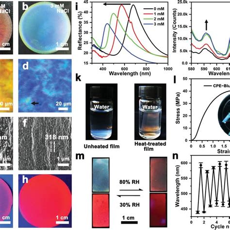 Integrated Design Of Multiple Optical States Via Chiral Nematic