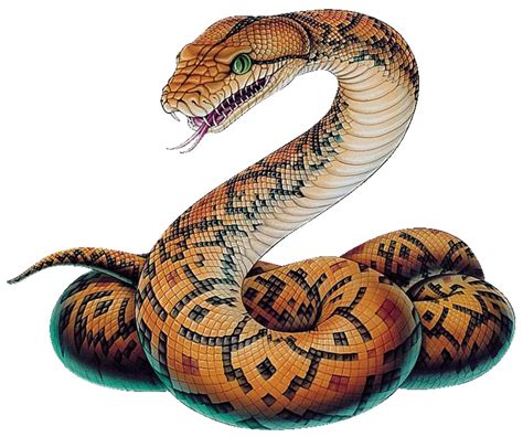 Snake Png Image