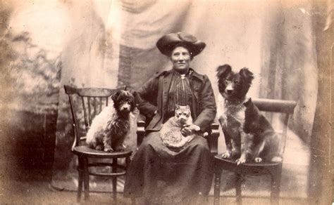 Edwardian Pets Pets Two Dogs Dogs