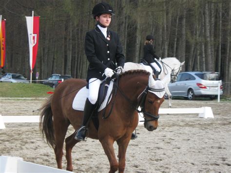 Sensationelles Ergebnis Beim Cdn B In Ranshofen Pferdehof Welser Heide