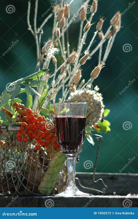 Rowan berries and red wine stock photo. Image of aucuparia - 1050372