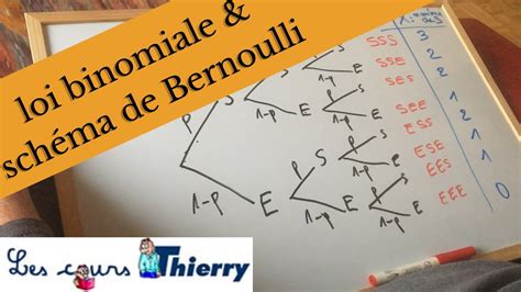 Comprendre La Loi Binomiale Avec Un Sch Ma De Bernoulli Youtube