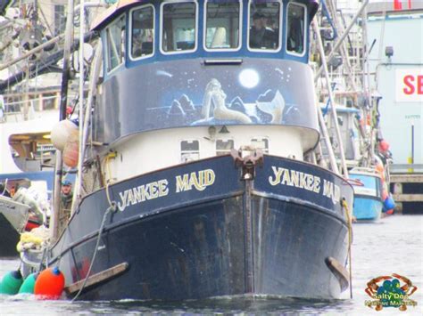 Purse Seine Fishing Fleet, Fishermen's Terminal, Puget Sound Commercial ...