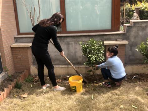 平顶山市湛河区实验小学：“线上植树节”激活近3000家庭