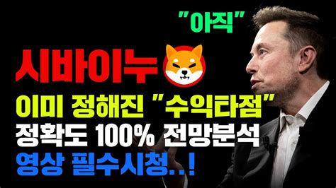 시바이누 긴급 정확도 100 전망분석 수익타점 이미 정해져 있다 이자리 기다리세요 코인시황 Youtube