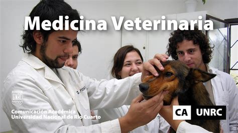 Medicina Veterinaria Youtube