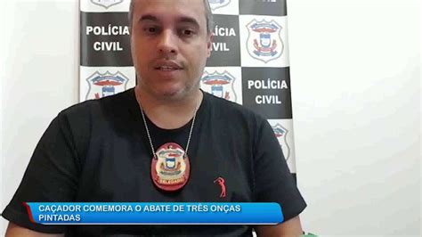 13 11 19 Policia apura se matança de 3 onças pintadas ocorreu em YouTube