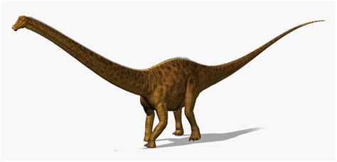 Dinossauro Diplodoco Png Transparent Png Kindpng