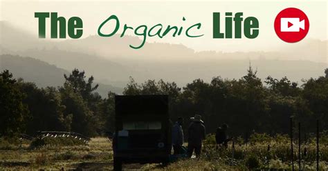 The Organic Life: A Year in the Life of One Organic Farmer