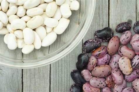 The Beaning Of Life 10 Common Types Of Beans To Cook With