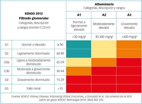 Qu Es La Erc Hemodi Lisis Domiciliaria En Casa