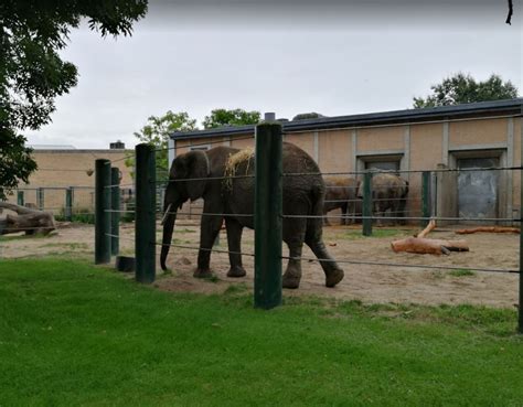 Trfihi Parks Parks Aalborg Zoo