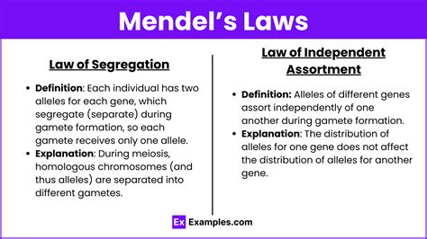 Unit 5 3 Mendels Laws And Probability Notes Practice Questions