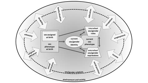 The Inger Multidimensional Sexgender Concept With Its Intersectional Download Scientific