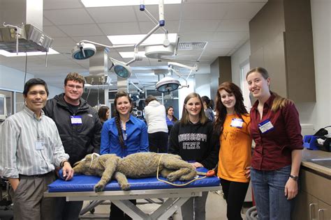 March 2013 The Veterinary Page College Of Veterinary Medicine