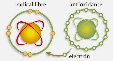 Radicales Libres Lo Que Debes Saber Web Salud