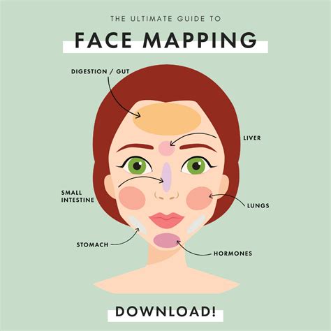 Acne Face Map