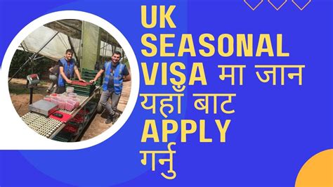 Uk Seasonal Visa Ll How To Apply For Uk Seasonal Visa Ll Uk