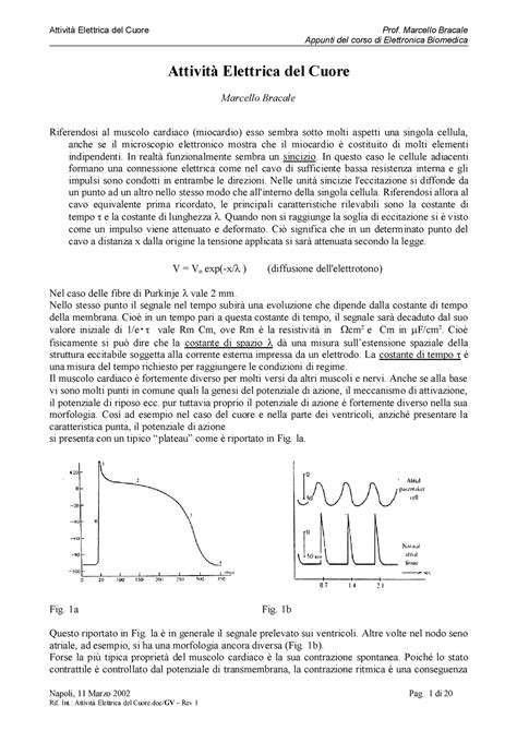 Attivit Elettrica Del Cuore Marcello Bracale Appunti Del Corso Di