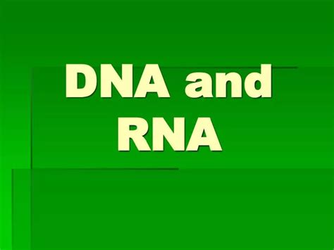 Ppt Dna And Rna Powerpoint Presentation Free Download Id5477801