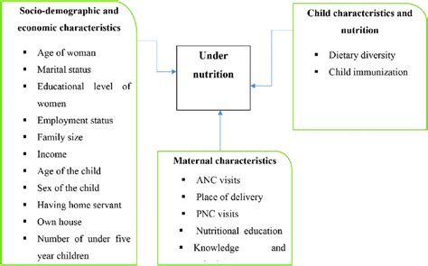 Conceptual Framework For Assessment Of Undernutrition And Associated