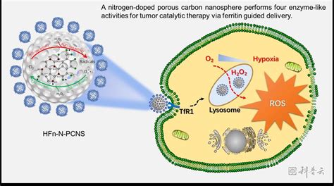 纳米酶及其在肿瘤治疗中的应用 慧科网 江苏科普云