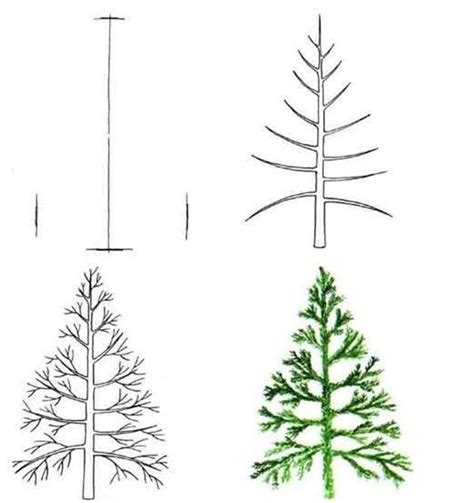 How To Draw A Big Tree Step By Step at Drawing Tutorials