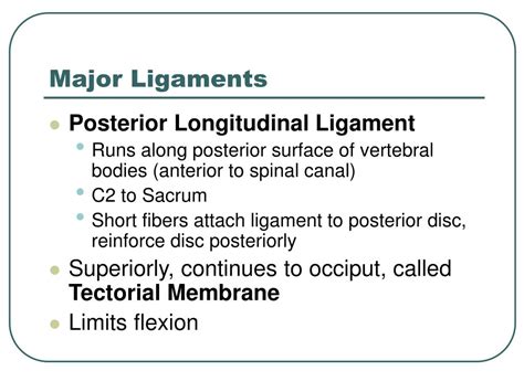 Ppt Vertebral Column Powerpoint Presentation Free Download Id 1284846