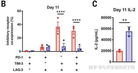 Transient Rest Restores Functionality In Exhausted Car T Cells Through